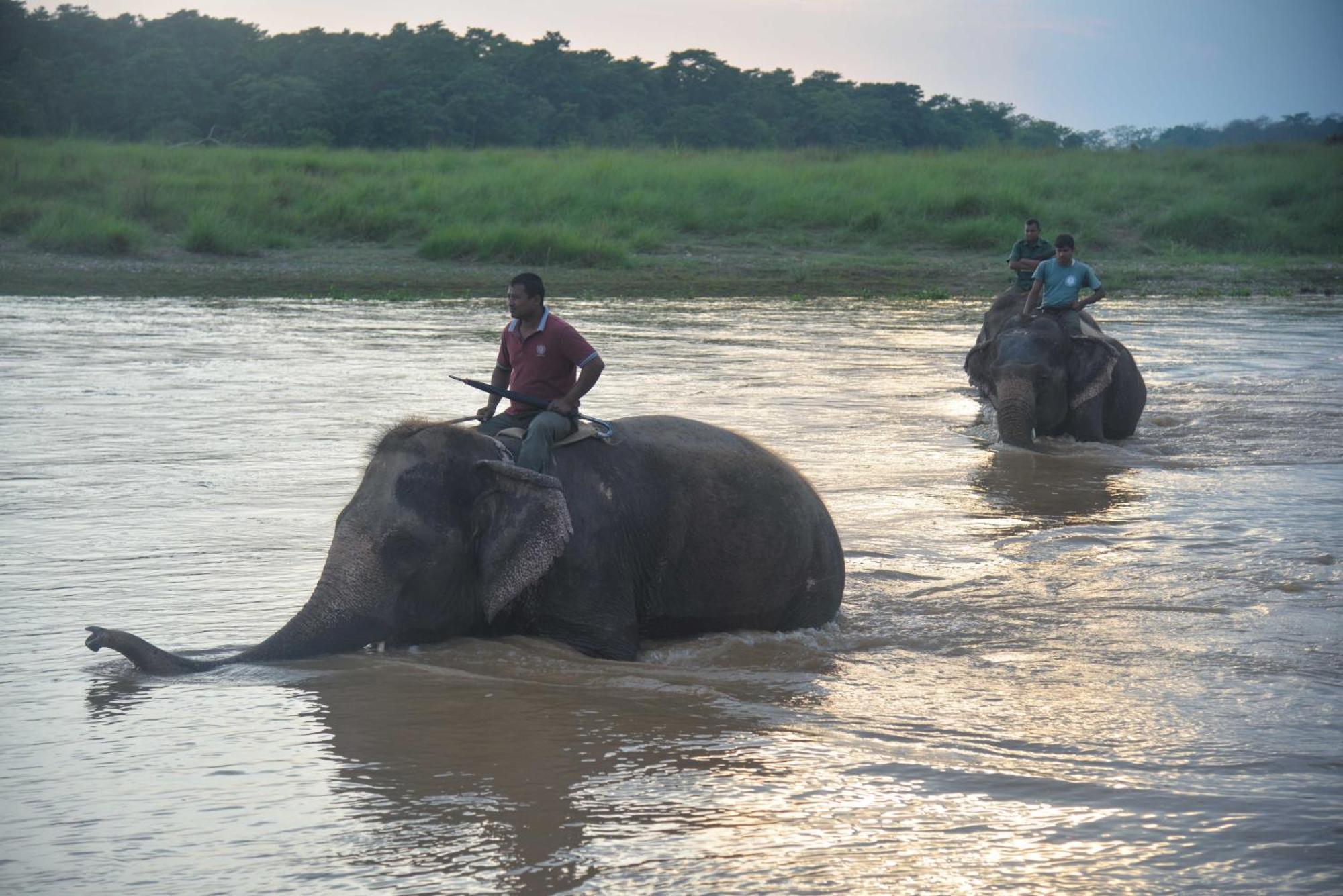 Greenland Safari, Sauraha Esterno foto